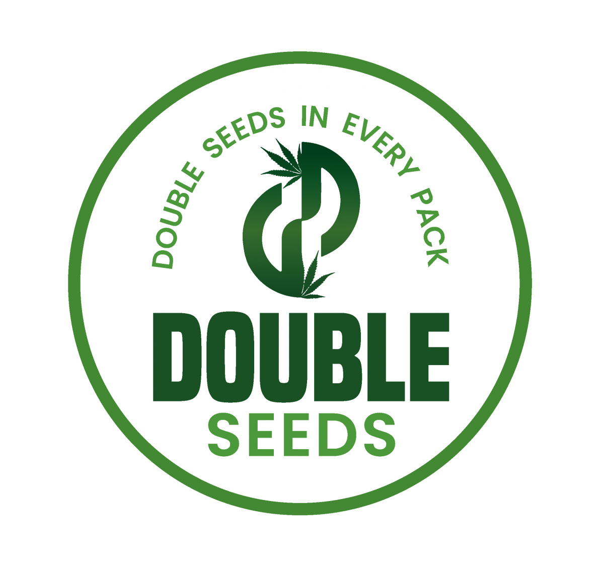 Quick Bud Feminised Cannabis Seeds - Double Seeds