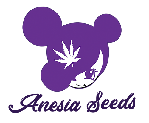 Anesia Seeds - Cannabis Seeds Store