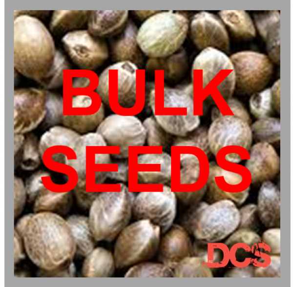 Cannabis Seeds: Get 100 Seeds for £100 at Cannabis Seeds Store.