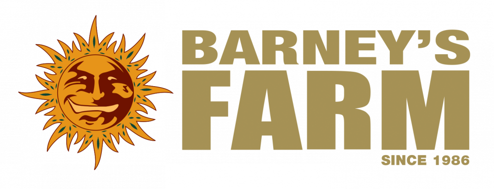 Barney's Farm Cannabis Seeds Stocking Fillers - Cannabis Seeds Store