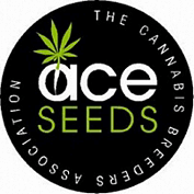 Ace Cannabis Seeds Blog - Cannabis Seeds Store