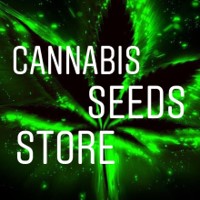 Cannabis Seeds - Your questions answered by Cannabis Seeds Store