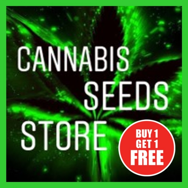 A Buying Cannabis Seeds Online with Exclusive Promotions.