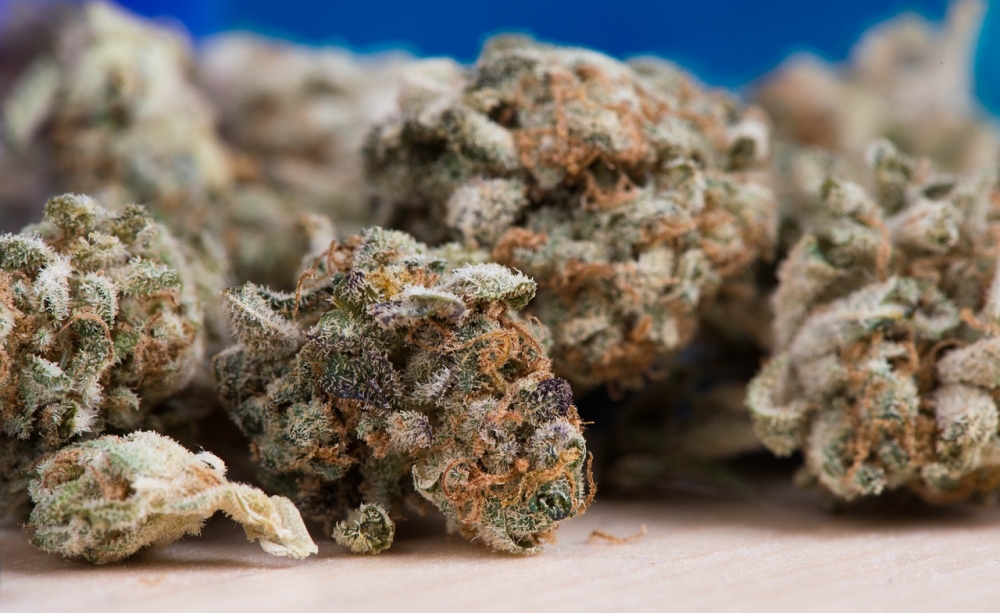 Uncover the Ultimate Cannabis Seeds Strains for a Serene Summer. Uncover the Ultimate Cannabis Seeds Strains for a Serene Summer.