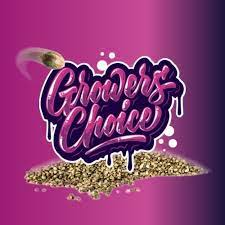 Brain Damage Feminised Cannabis Seeds - Growers Choice.