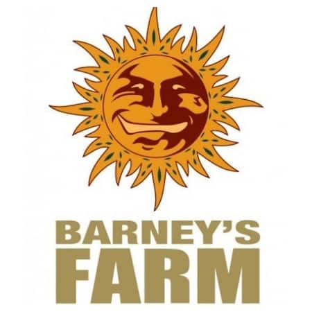 Cannabis Seeds Review - Barneys Farm - Cannabis Seeds Store