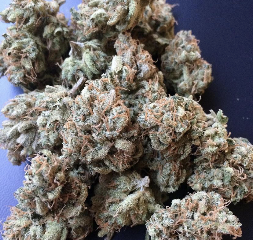 Cannabis Seeds Store