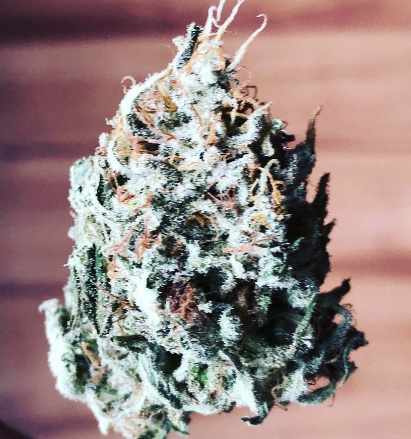 Cannabis SEeds STore