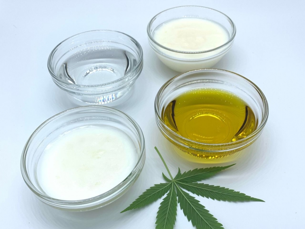 Cannabis Seeds Store 