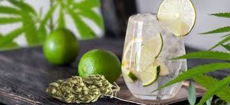 Cannabis Seeds Store 