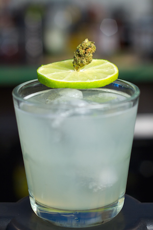 Cannabis Seeds Store 