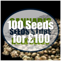 cannabis seeds store
