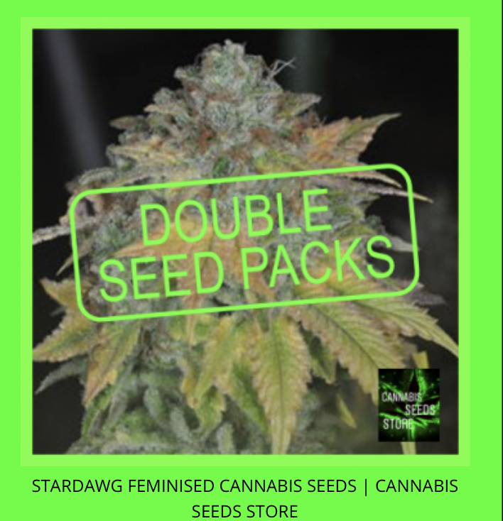 cannabis seeds store