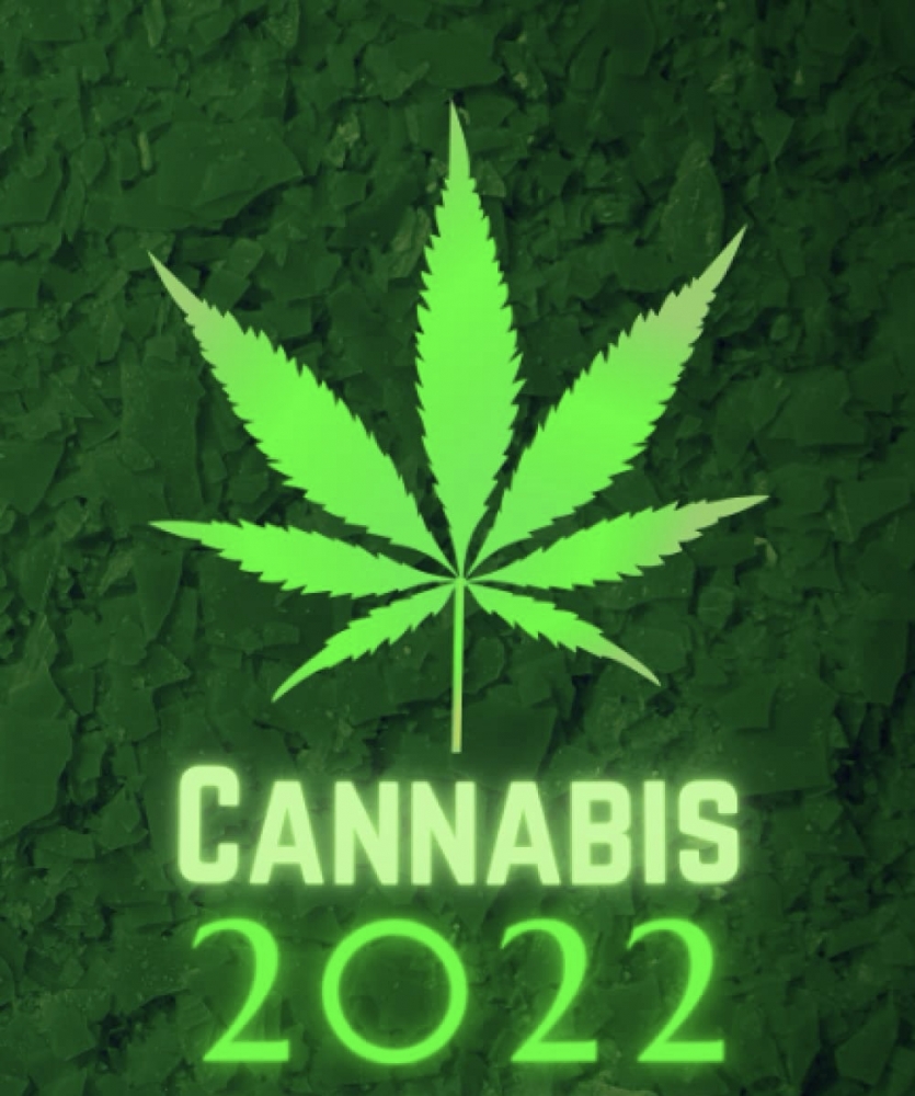 Cannabis Seeds of 2022 - Cannabis Seeds Store.