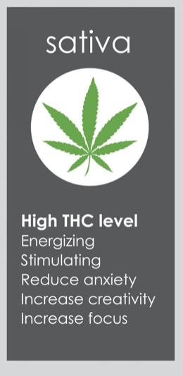 CANNABIS SEEDS STORE