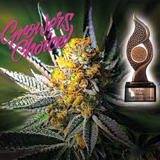 Cannabis Seeds High THC Strains By Growers Choice - Cannabis Seeds Store.