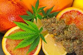 Cannabis Seeds Fruity Cannabis Strains - Cannabis Seeds Store.