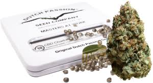CANNABIS SEEDS STORE