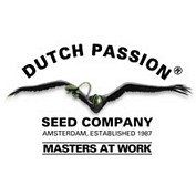 Cannabis Seeds Dutch Passion The Best Strains - Cannabis Seeds Store.