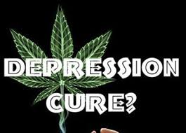 Cannabis Seeds The Best Strains For Depression - Cannabis Seeds Store.