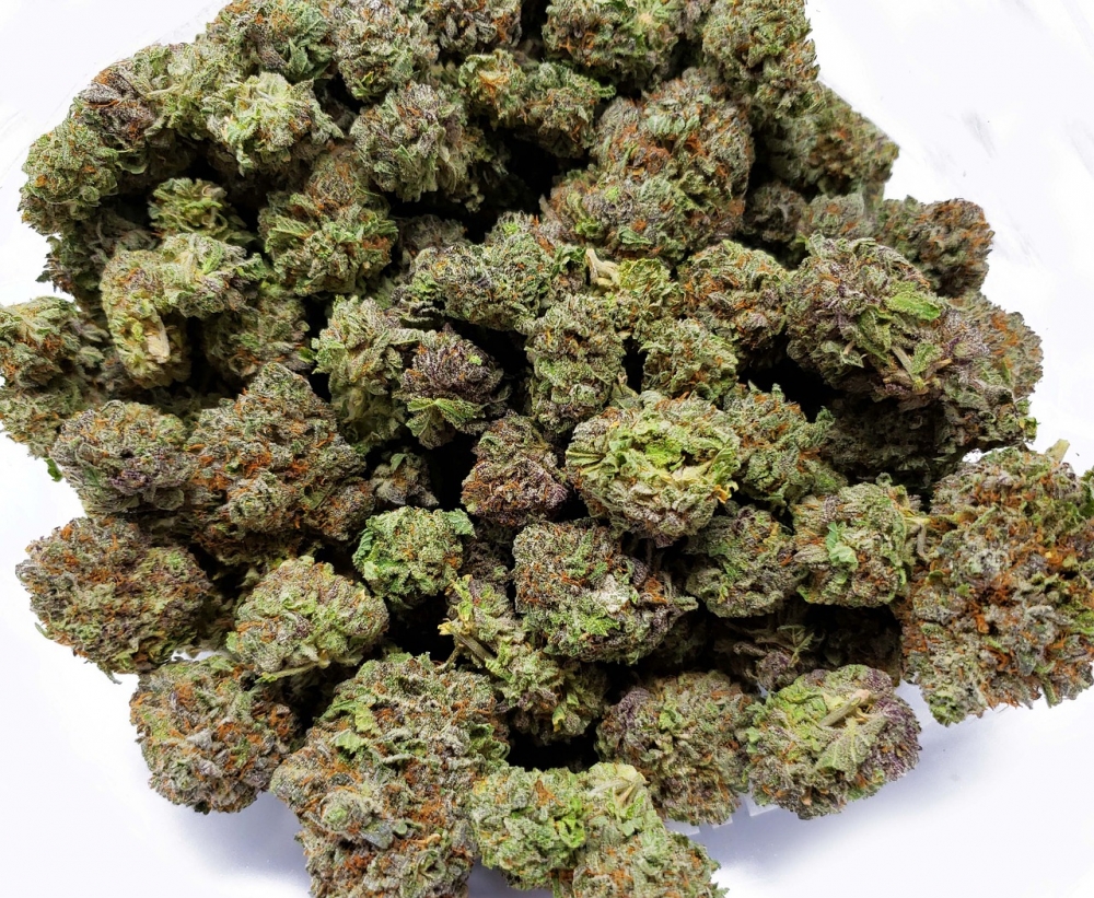 Why Stardawg Cannabis Seeds Reign Supreme as Our Best Sellers.