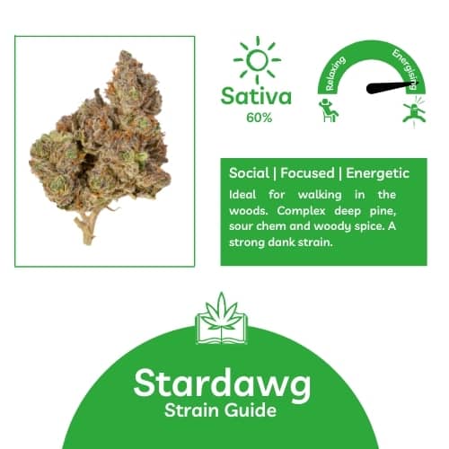 Top-Rated Stardawg Cannabis Seeds: The Best Selling Choice for 2025.