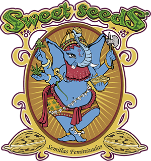 Sweet Seeds Blog - Cannabis Seeds Store