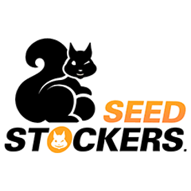 Blackberry Gum Auto Feminised Cannabis Seeds | Seed Stockers - Cannabis Seeds Store