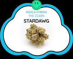 Why Stardawg Cannabis Seeds Reign Supreme as Our Best Sellers.