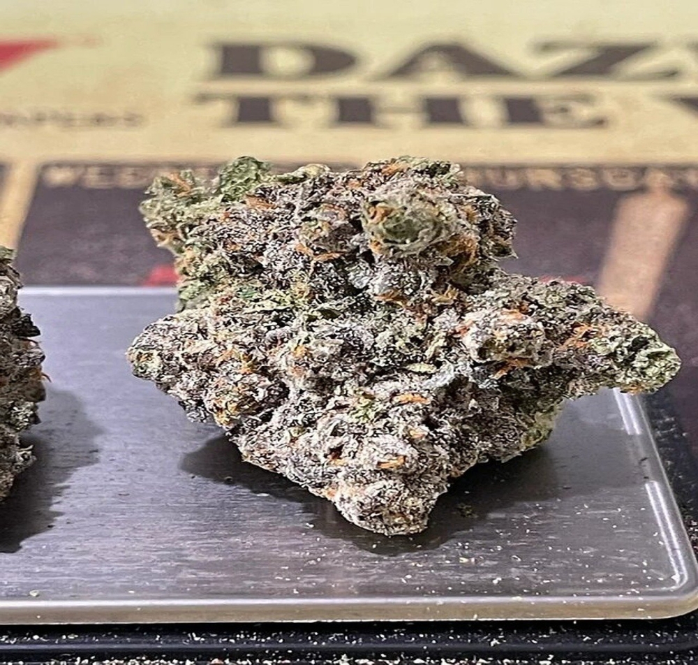 Your Green Thumb: Buy from a Range of Over 3,000 Quality Cannabis Seeds.