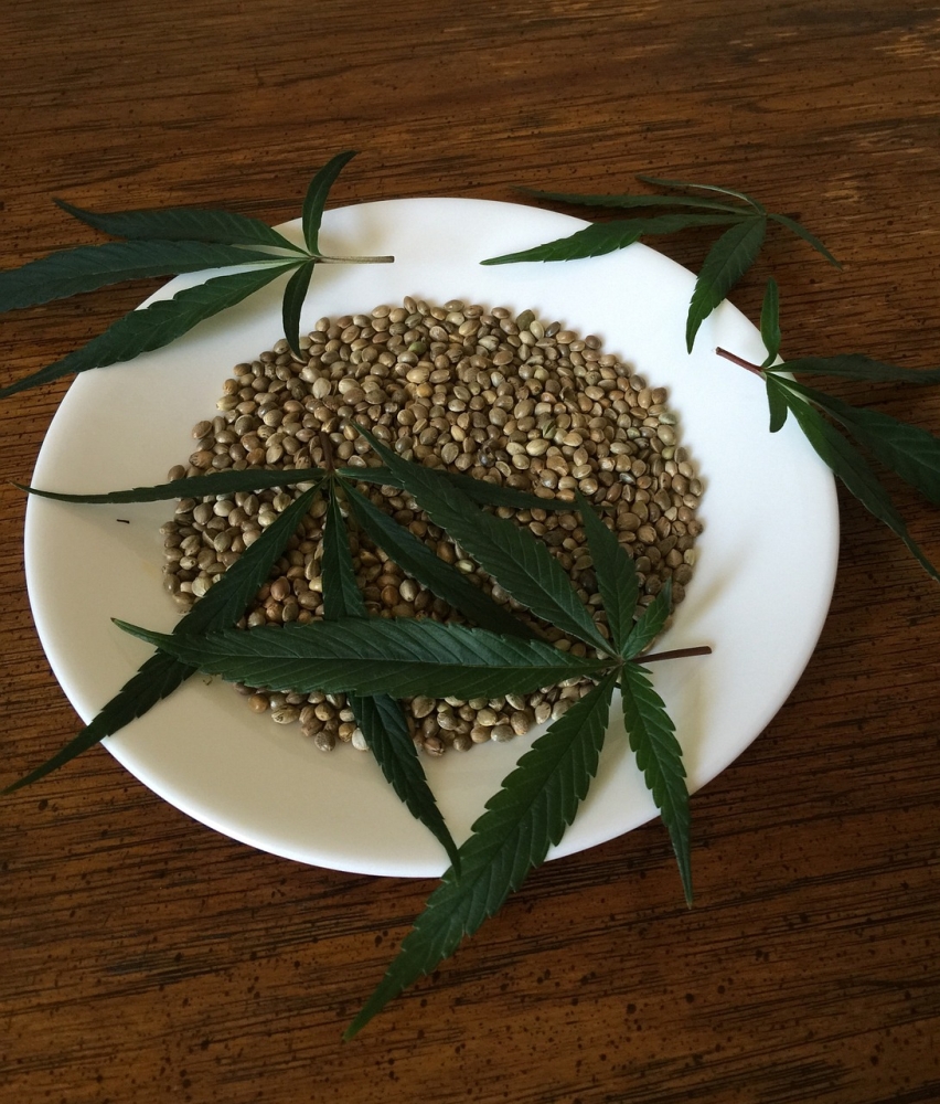 Understanding Cannabis Seeds: Your Cultivation Journey. Understanding Cannabis Seeds: Your Cultivation Journey.