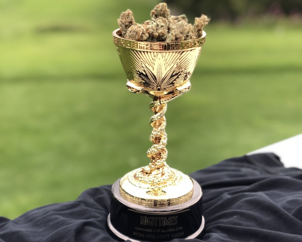 Best Cannabis Cup Winning Cannabis Seeds at Cannabis Seeds Store.