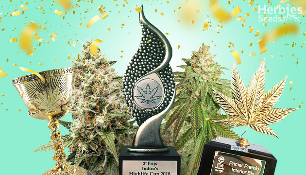 The Benefits of Purchasing Cannabis Cup-Winning Cannabis Seeds