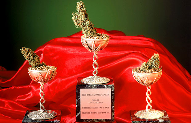 Power of Customer Reviews: Cannabis Cup-Winning Cannabis Seeds.