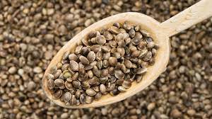 Feminised, Auto, Regular Cannabis Seeds from the Leading Cannabis Seeds Store in the UK. Feminised, Auto, Regular Cannabis Seeds from the Leading Cannabis Seeds Store in the UK.