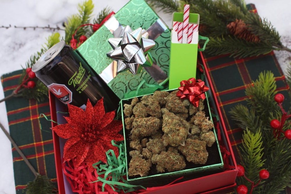 Unleash the Festive Spirit with Stardawg Cannabis Seeds.