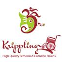 GGG 3 – Gelato Cookie D’oh-Hope Auto Feminised Cannabis Seeds | Dr Krippling.