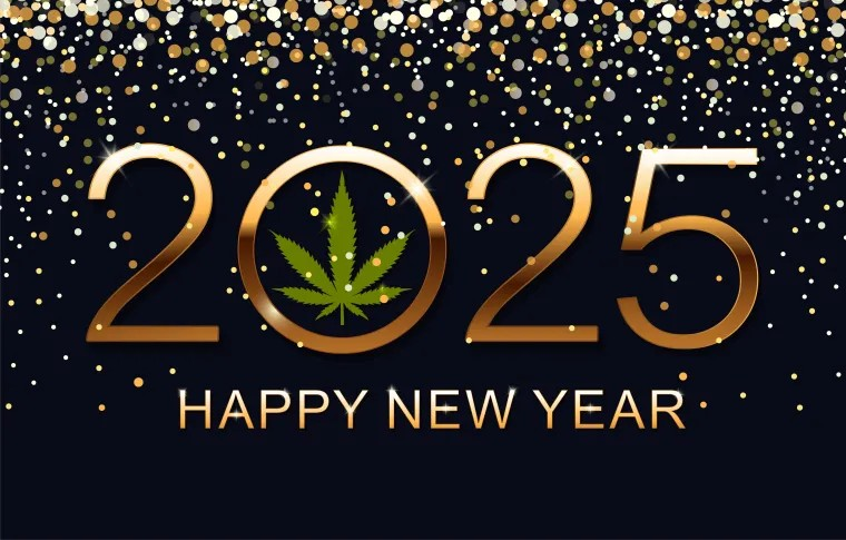 Why Buying Stardawg Cannabis Seeds in 2025 Is The Best Choice. Why Buying Stardawg Cannabis Seeds in 2025 Is The Best Choice.
