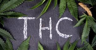 Cannabis Seeds Store