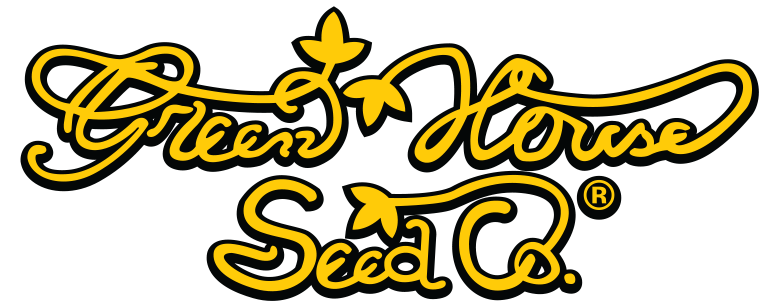 Neville's Haze Feminised Cannabis Seeds | Green House Seeds.