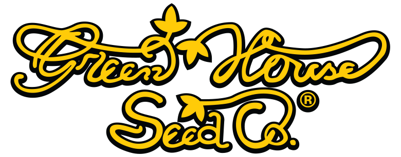 The Church Feminised Cannabis Seeds | Green House Seeds.