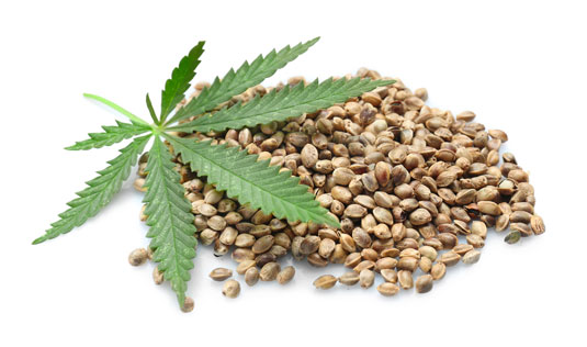 Advantages of Medical Cannabis Seeds for Medical Conditions.