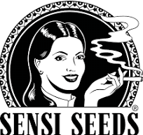 Silver Fire Feminised Cannabis Seeds| Sensi Seeds.