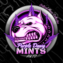 Auto Purple Dawg Mintz Feminsed Cannabis Seeds | Critical Mass Collective Seeds Auto Purple Dawg Mintz Feminsed Cannabis Seeds | Critical Mass Collective Seeds