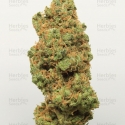 Auto Trainwreck Feminised cannabis Seeds | Fast Buds Originals.