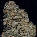 Gorilla Zkittlez Feminised Cannabis Seeds | Big Head Seeds Gorilla Zkittlez Feminised Cannabis Seeds | Big Head Seeds