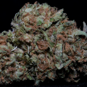 Zkittelz Feminised Cannabis Seeds | Big Head Seeds Zkittelz Feminised Cannabis Seeds | Big Head Seeds