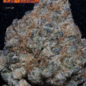 Do-Si-Dos Feminised Cannabis Seeds | Big Head Seeds Do-Si-Dos Feminised Cannabis Seeds | Big Head Seeds