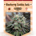 Blueberry Cookies Auto Feminised Cannabis Seeds | Garden of Green