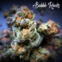 Bubble Runtz Auto Feminised Cannabis Seeds - Tastebudz
